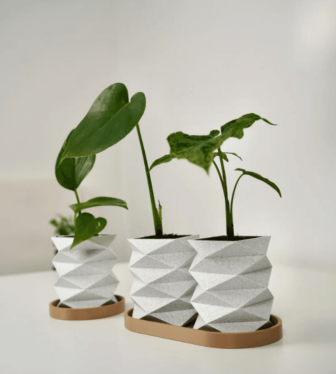 The Timaeus Planter